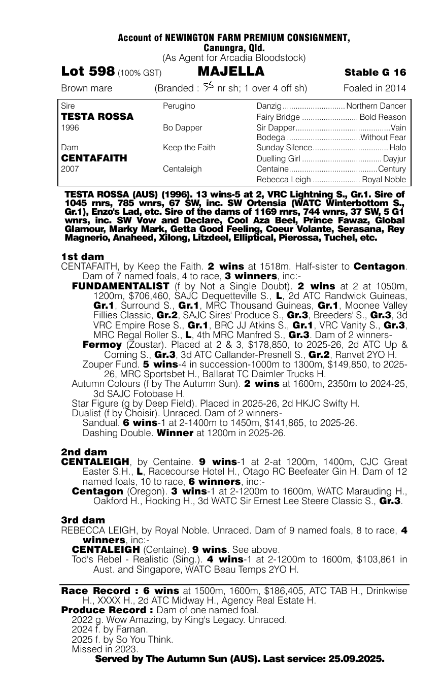 Pedigree - Lot 598