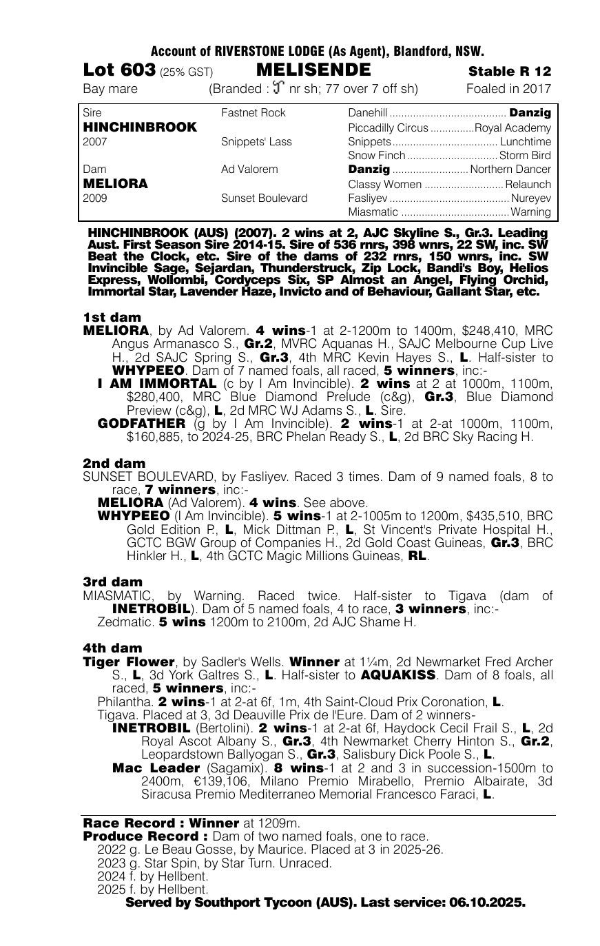 Pedigree - Lot 603