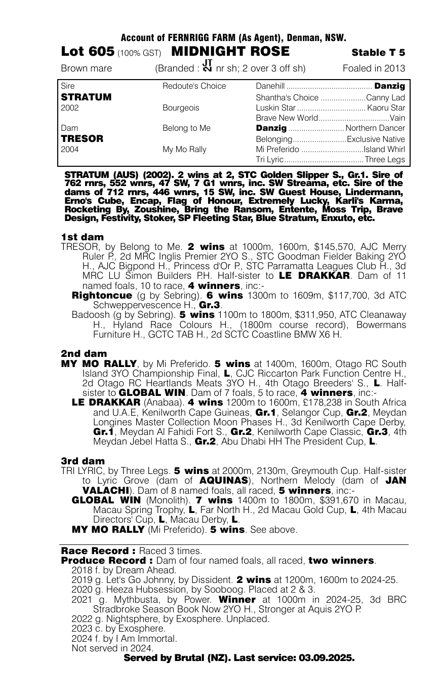 Pedigree - Lot 605