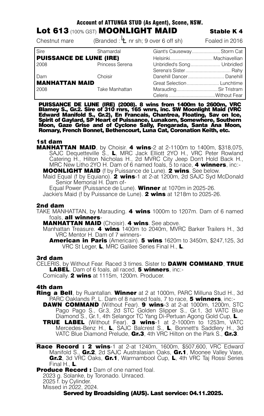 Pedigree - Lot 613