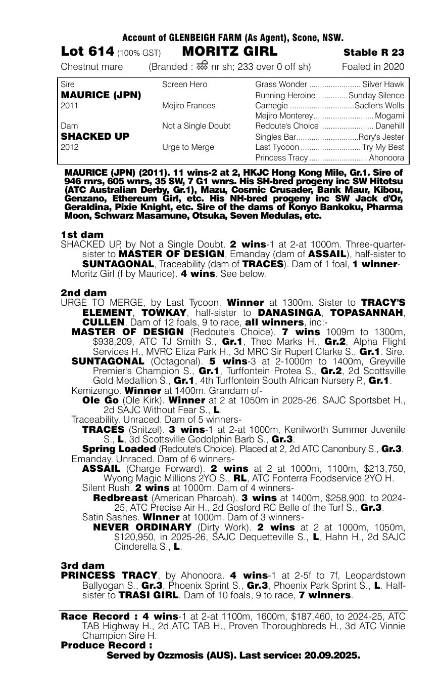Pedigree - Lot 614