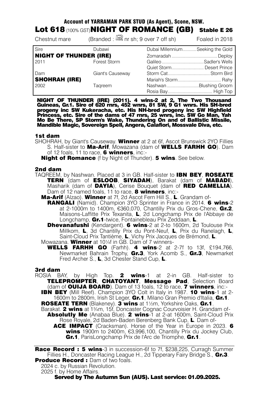 Pedigree - Lot 618