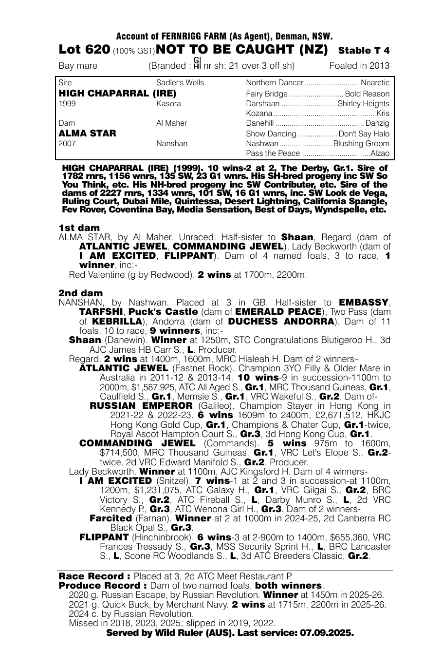 Pedigree - Lot 620