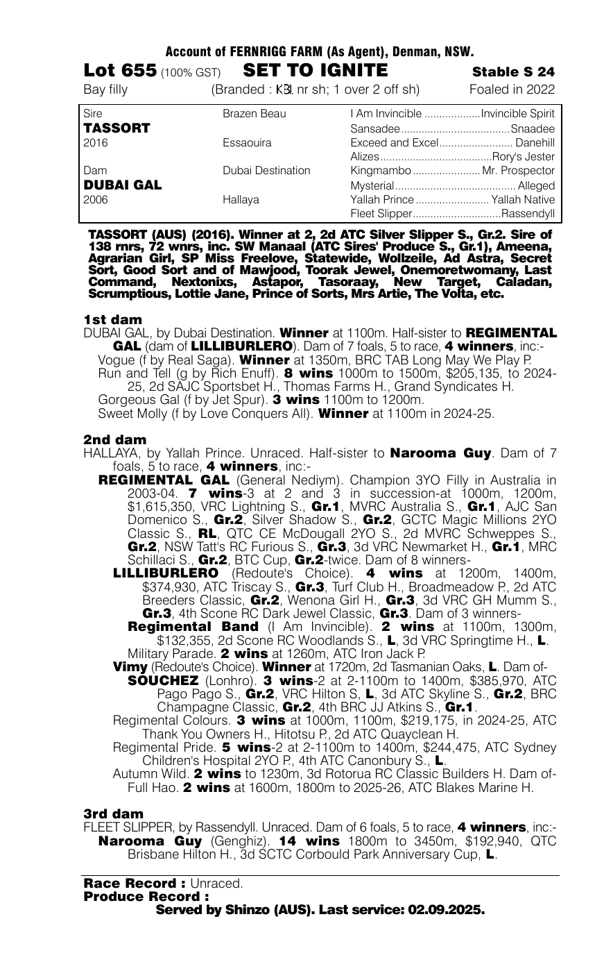 Pedigree - Lot 655