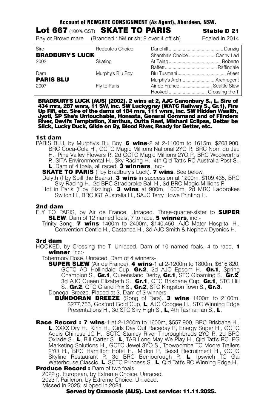 Pedigree - Lot 667