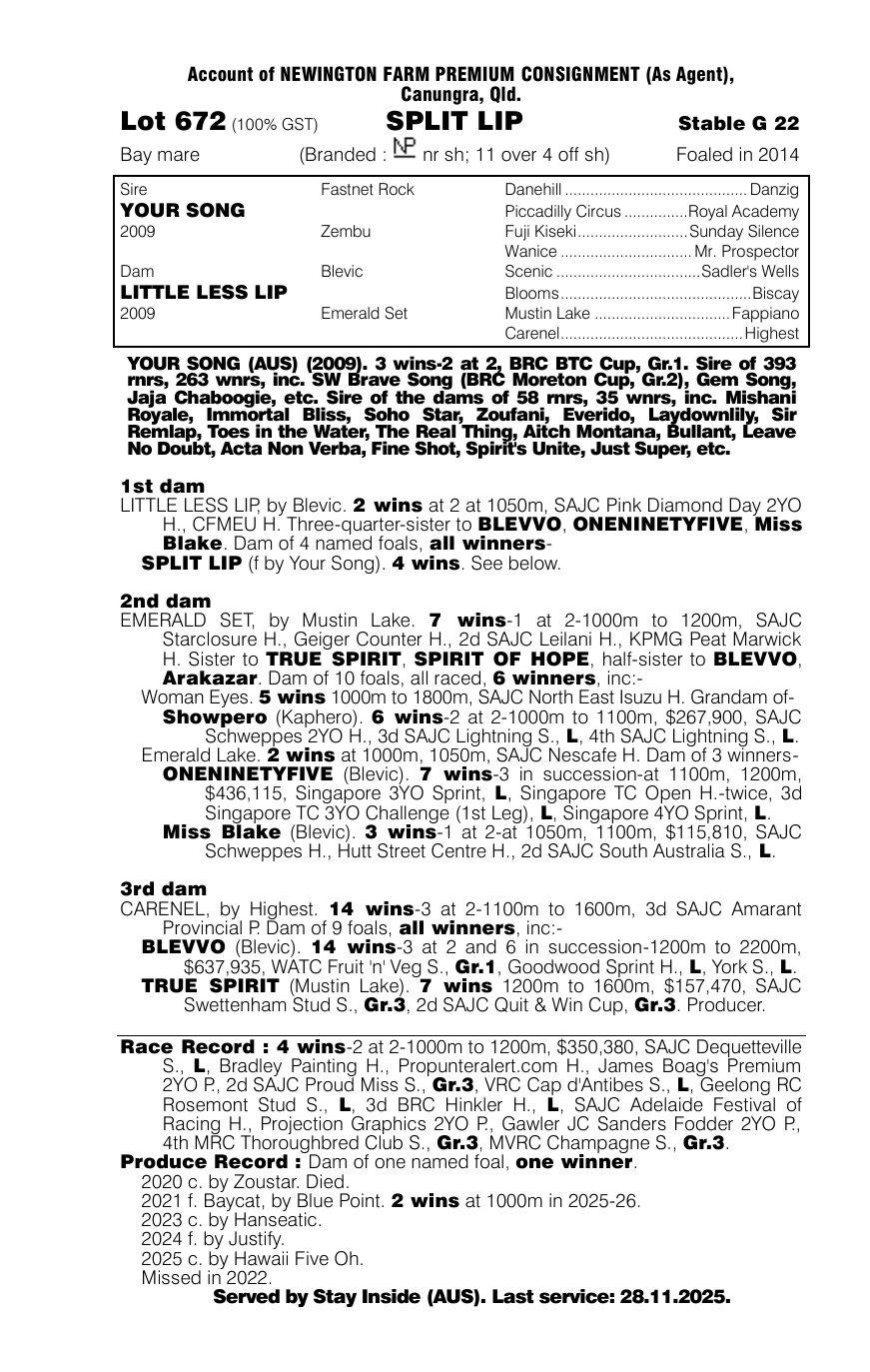 Pedigree - Lot 672