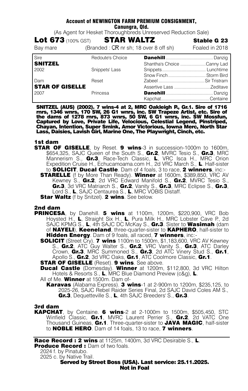 Pedigree - Lot 673