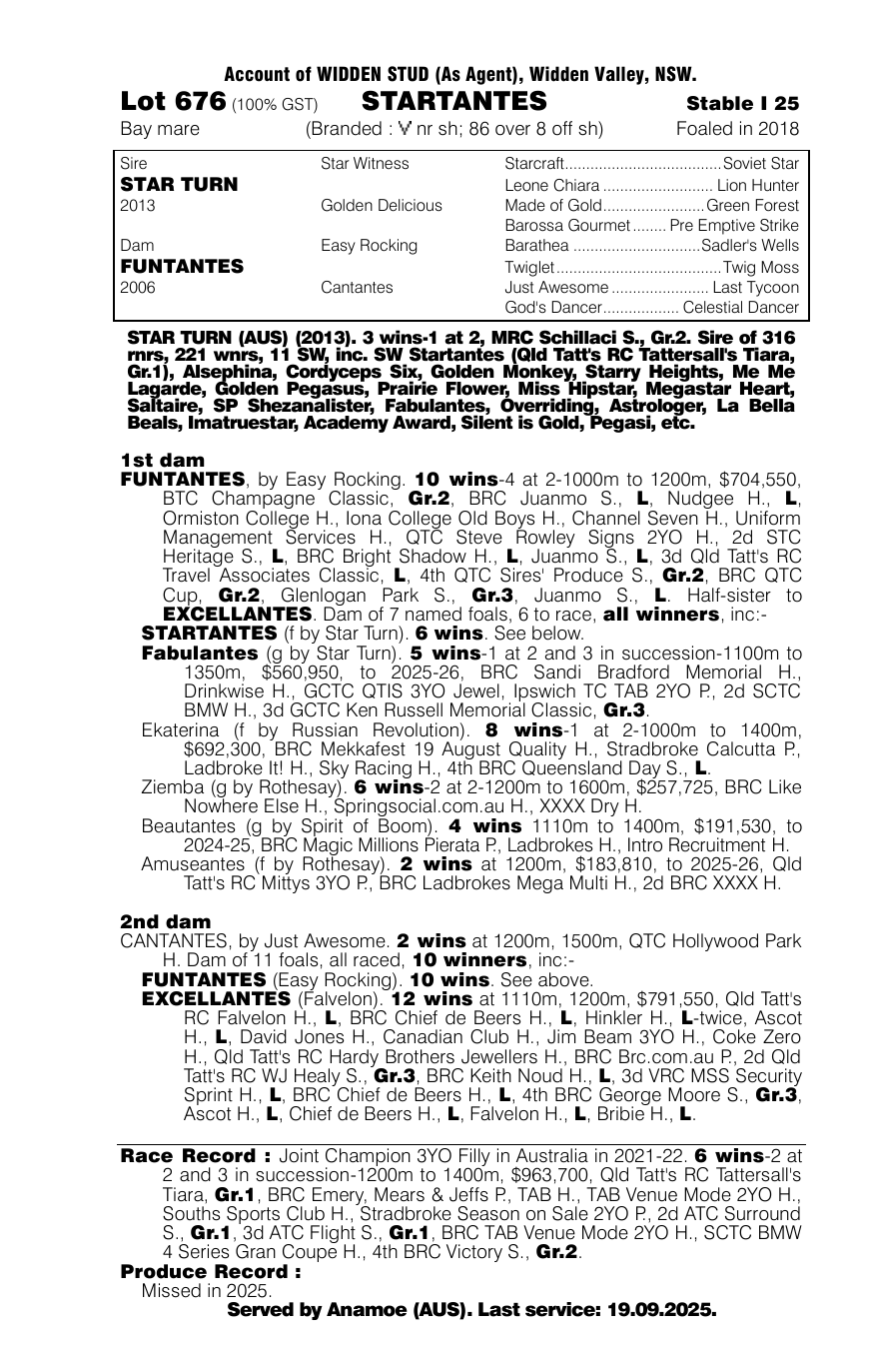 Pedigree - Lot 676