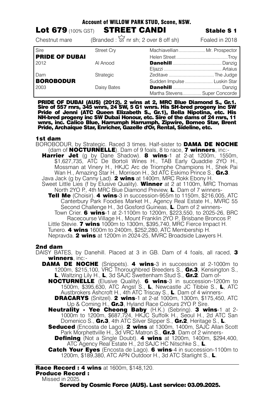 Pedigree - Lot 679