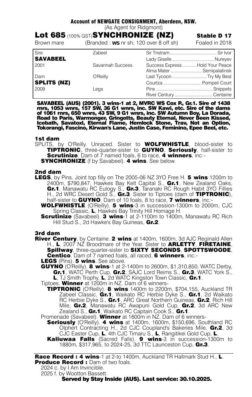 Pedigree - Lot 685