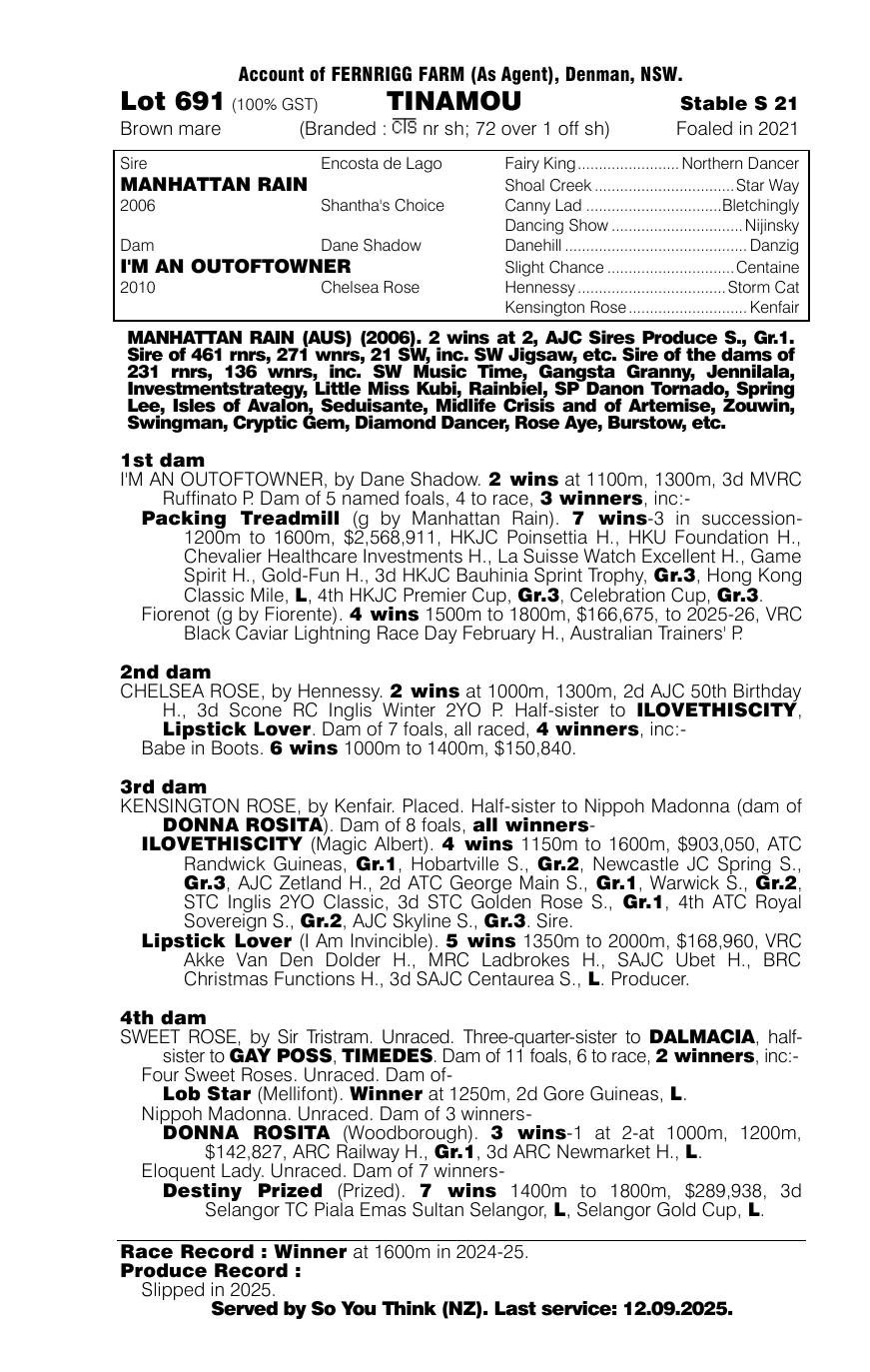 Pedigree - Lot 691