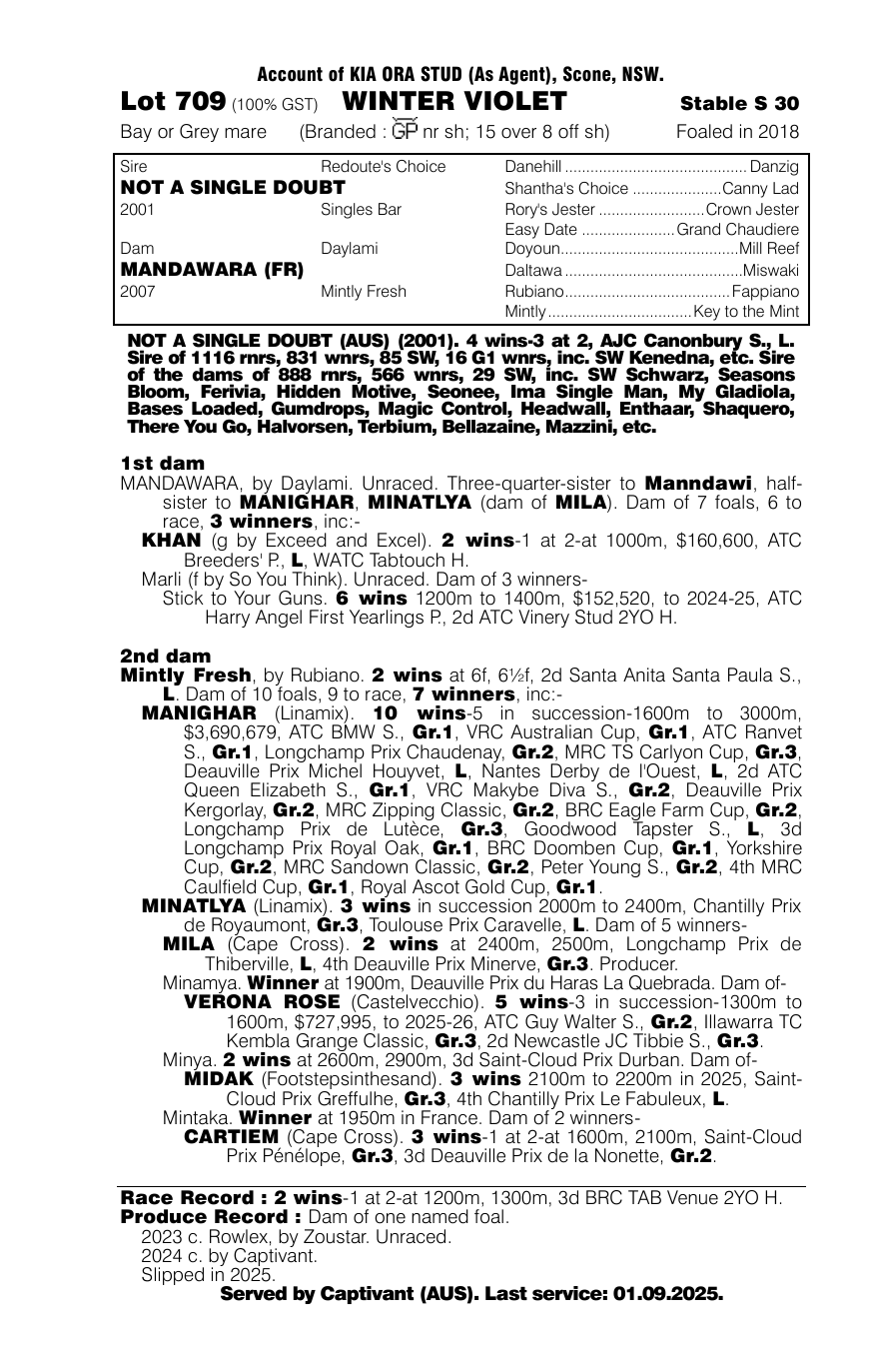 Pedigree - Lot 709