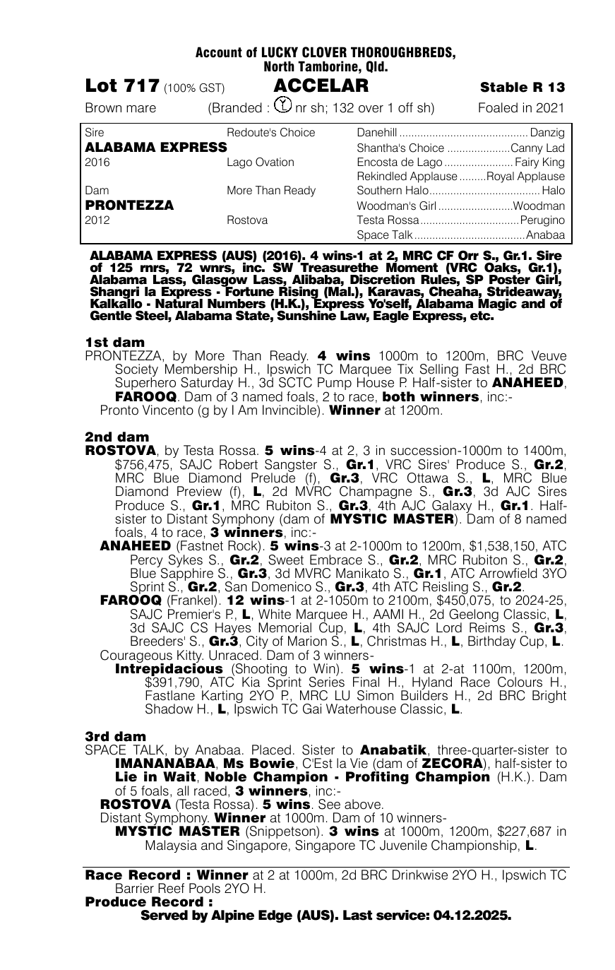 Pedigree - Lot 717