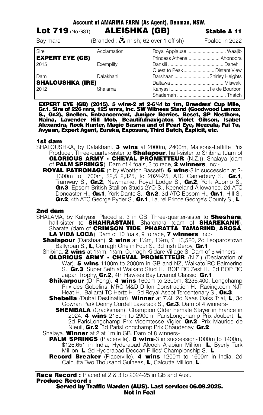 Pedigree - Lot 719