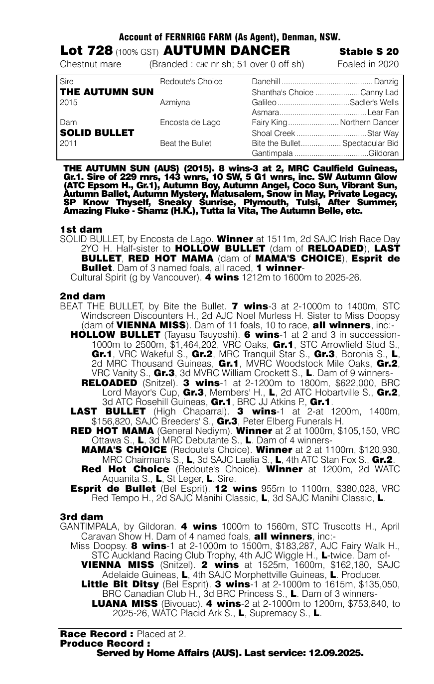 Pedigree - Lot 728