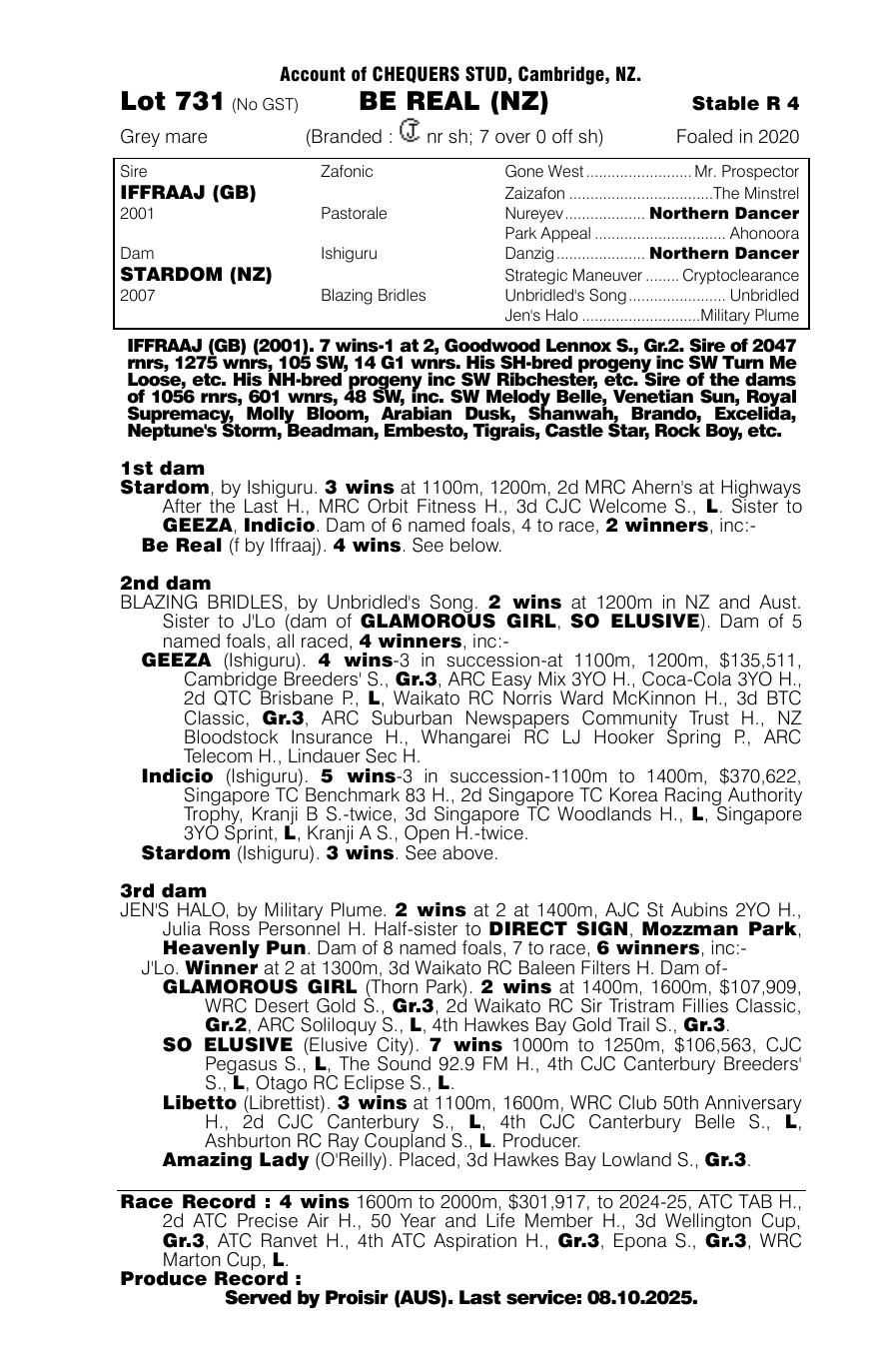 Pedigree - Lot 731