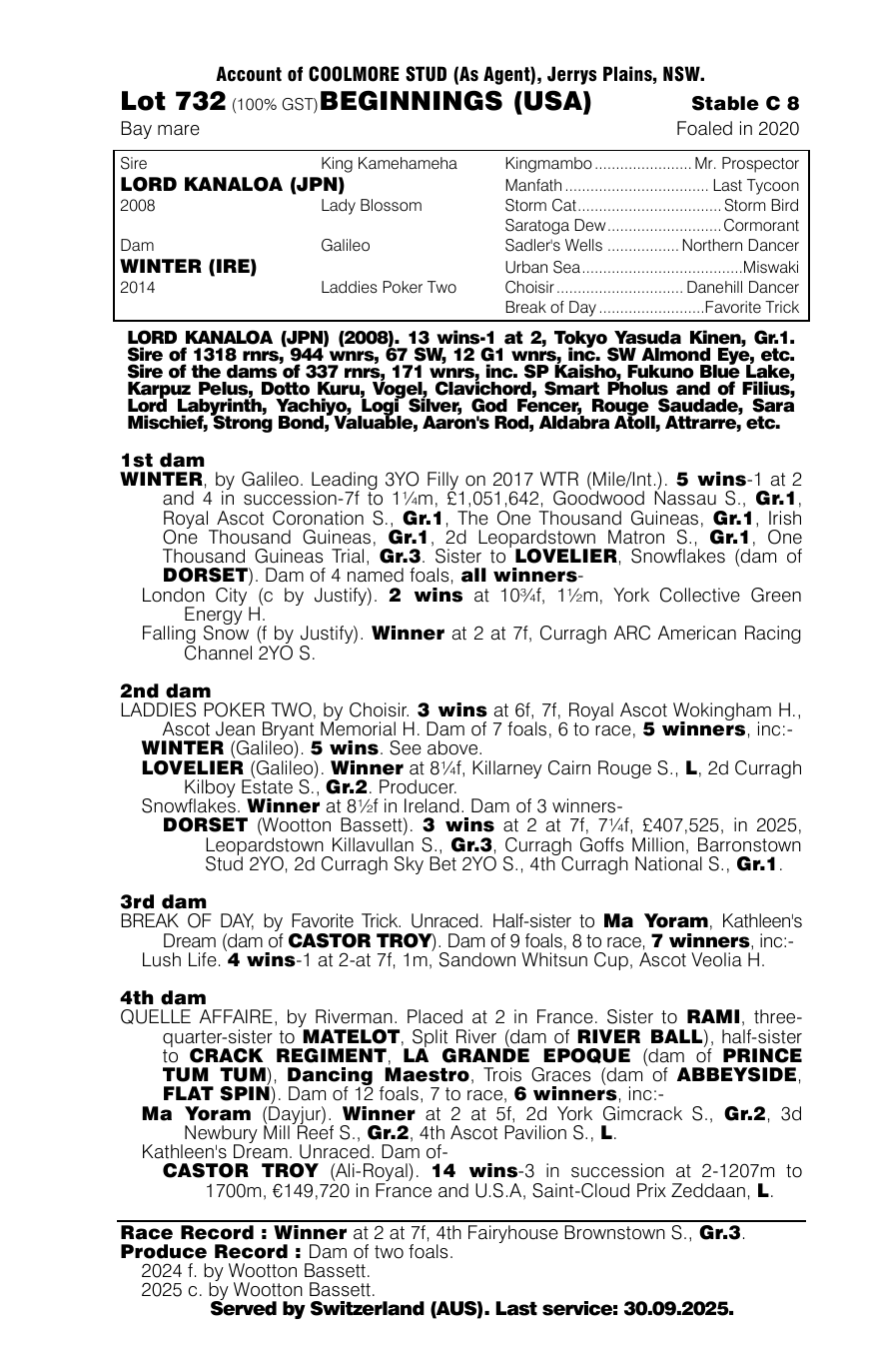Pedigree - Lot 732