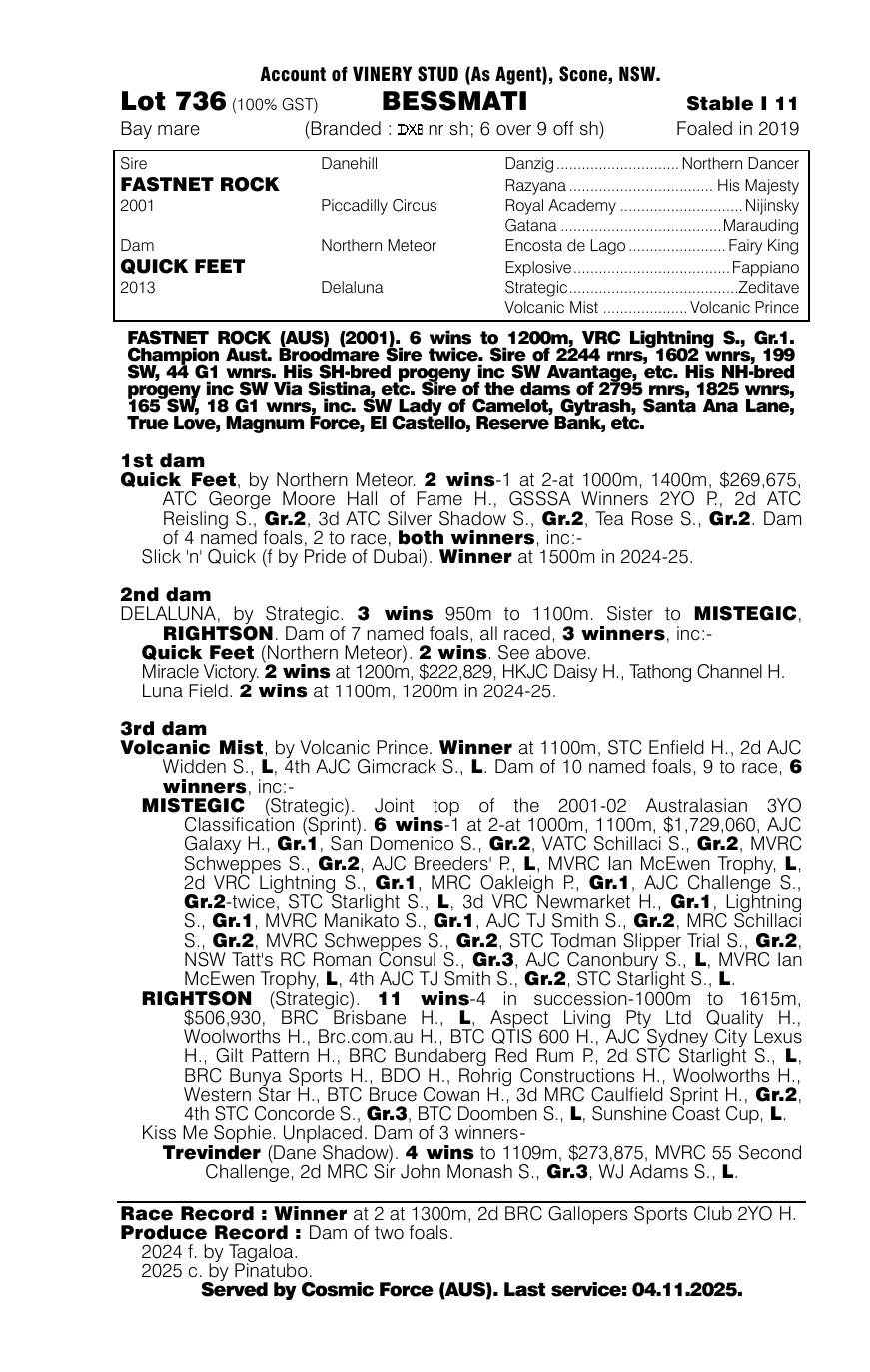 Pedigree - Lot 736