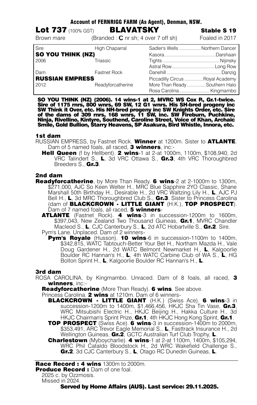 Pedigree - Lot 737