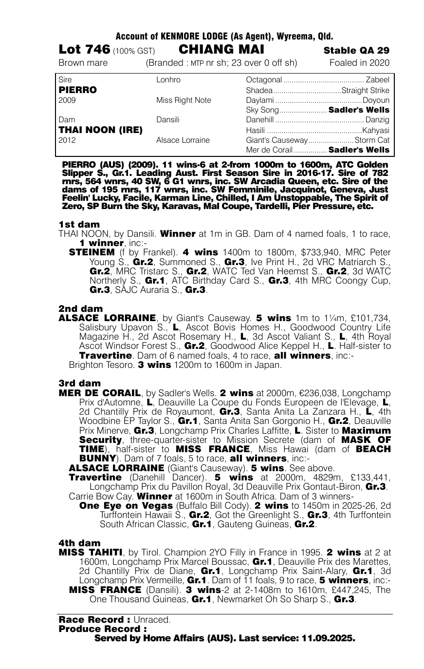 Pedigree - Lot 746