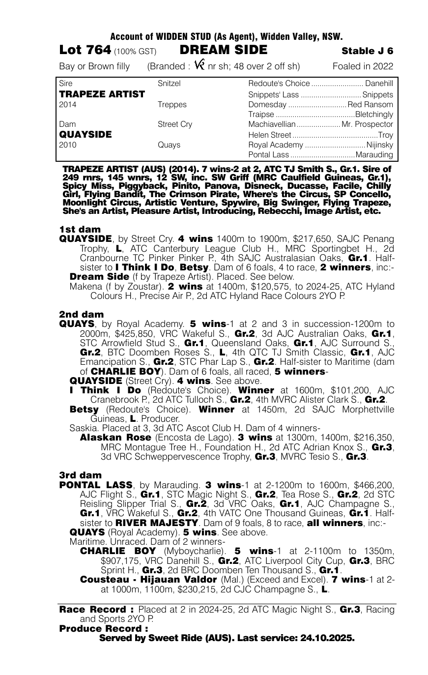Pedigree - Lot 764