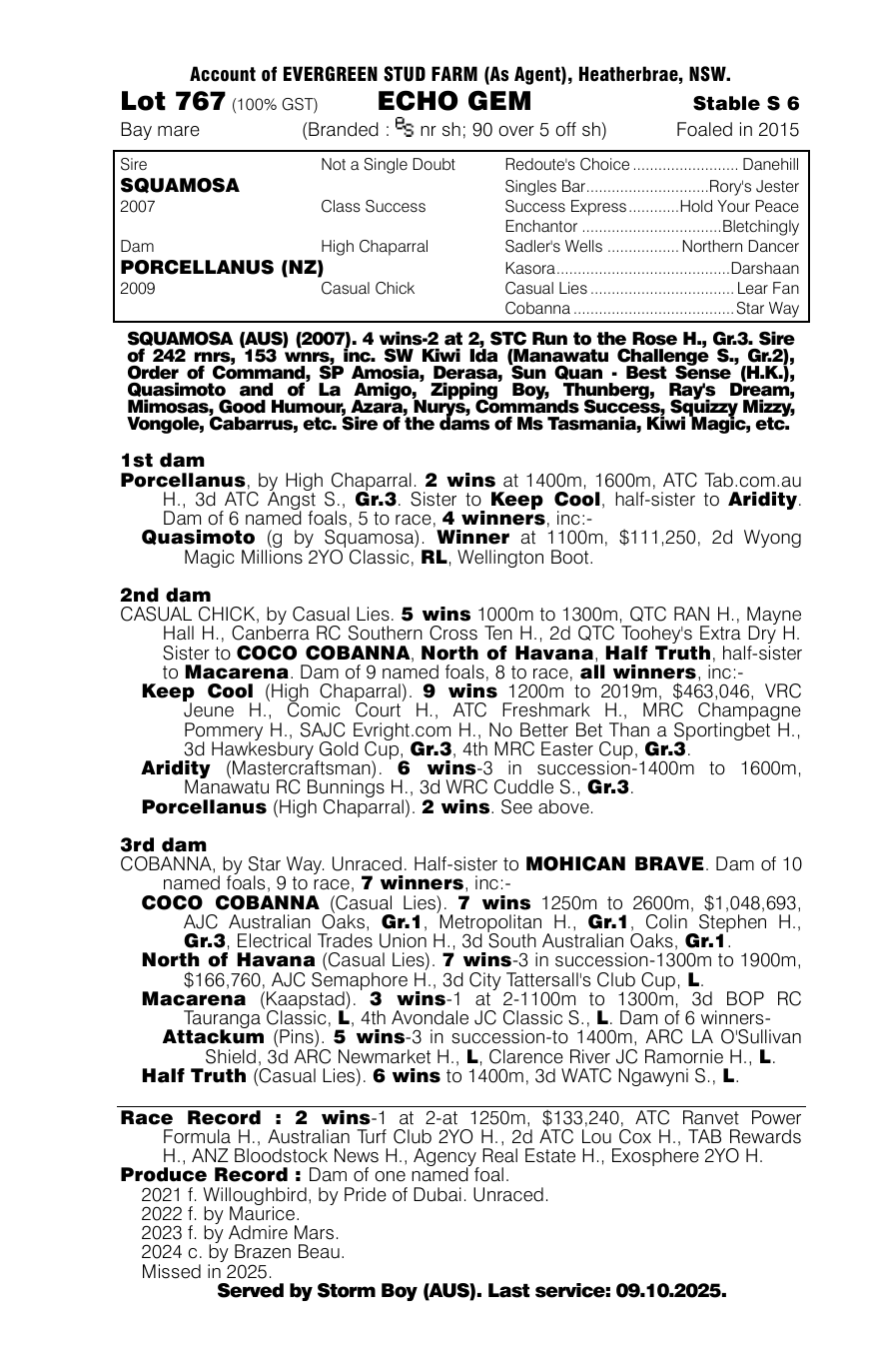 Pedigree - Lot 767