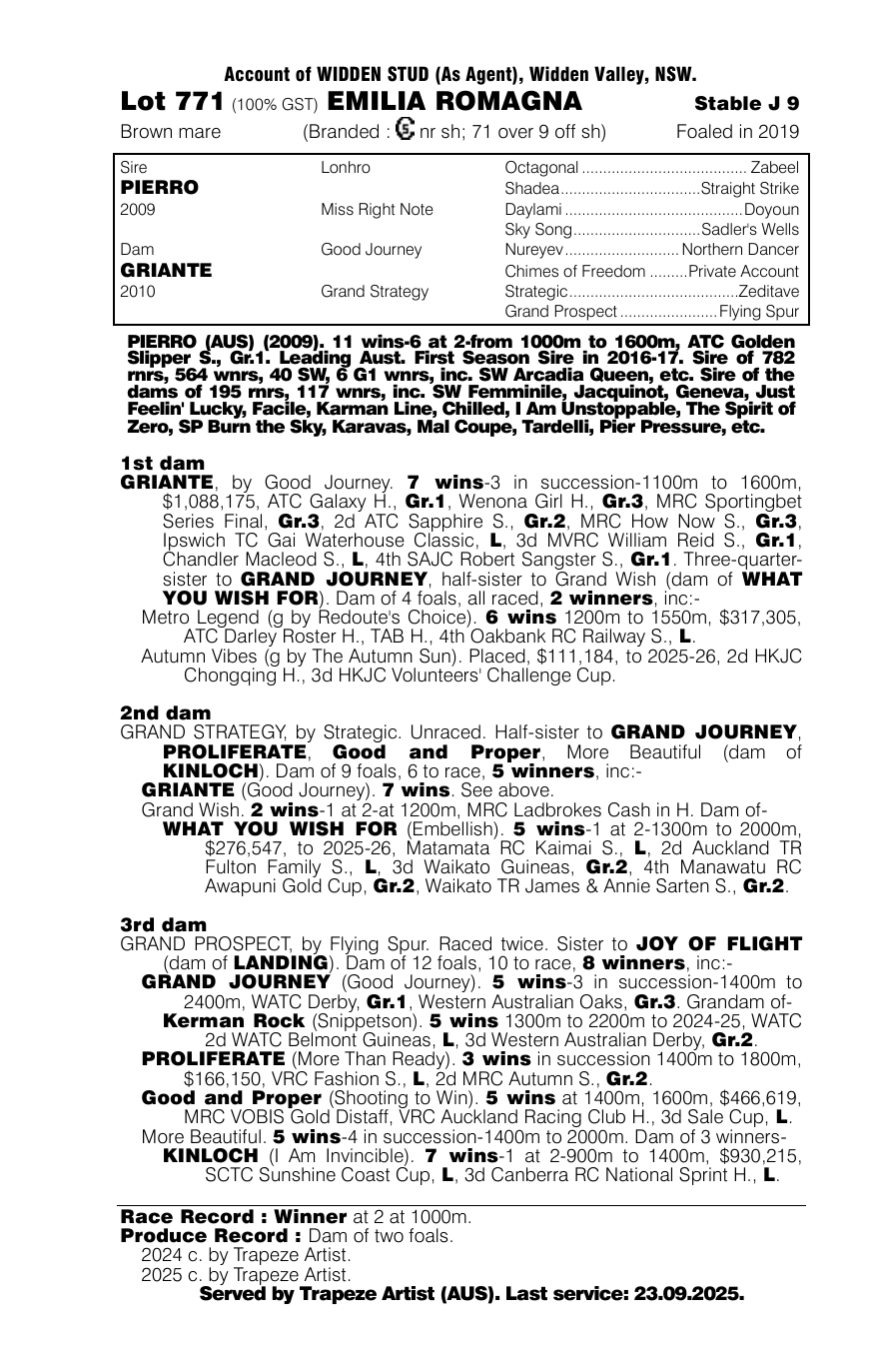 Pedigree - Lot 771