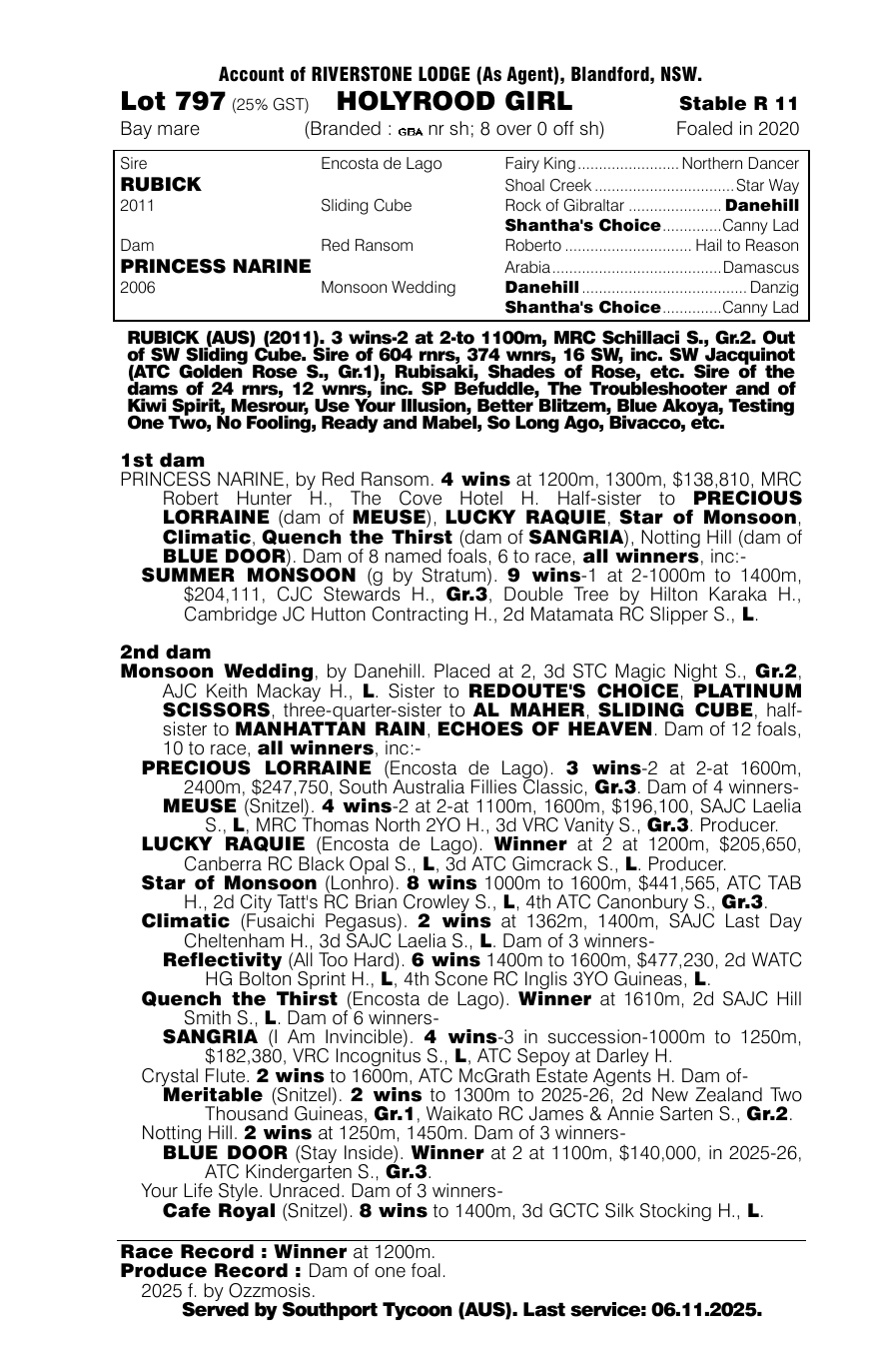 Pedigree - Lot 797