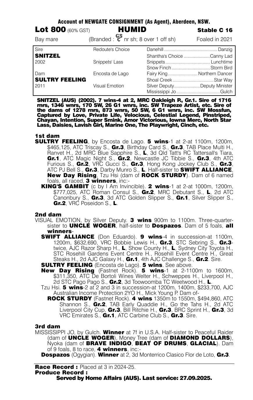 Pedigree - Lot 800