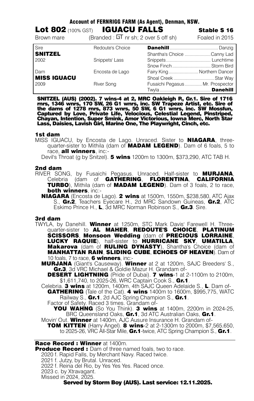 Pedigree - Lot 802