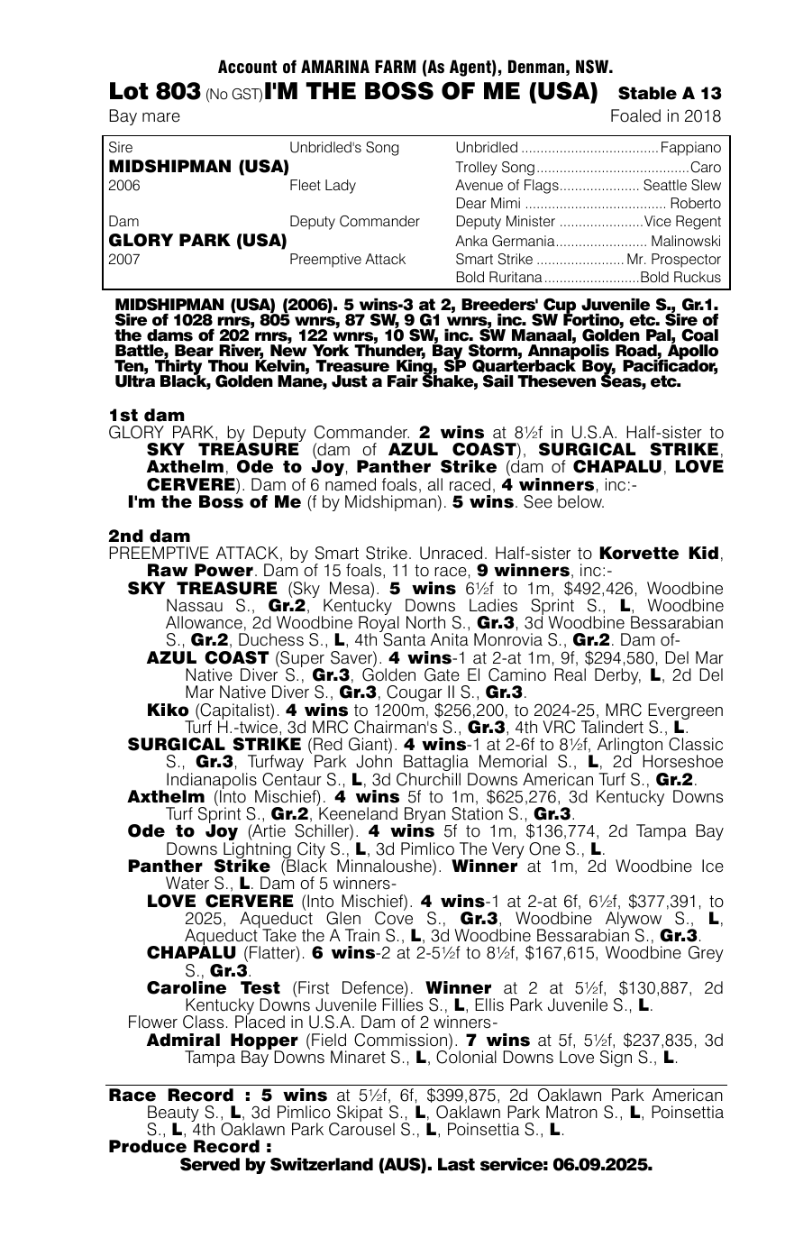 Pedigree - Lot 803
