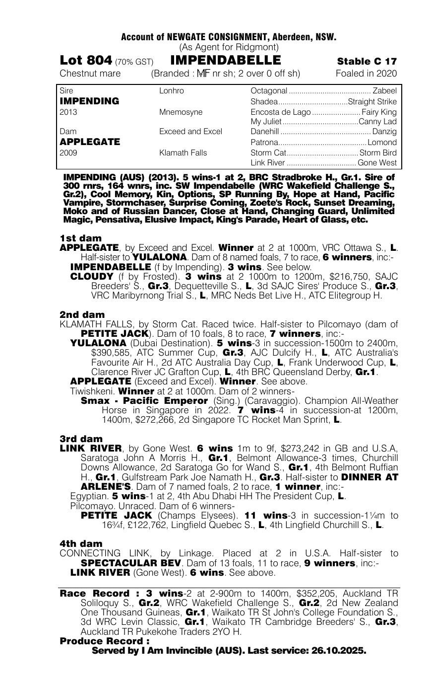 Pedigree - Lot 804