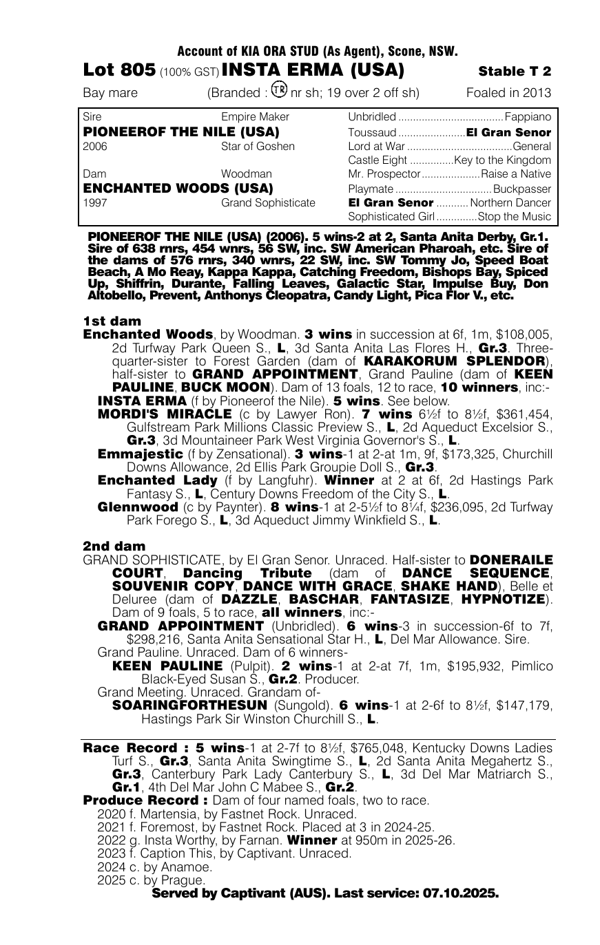 Pedigree - Lot 805