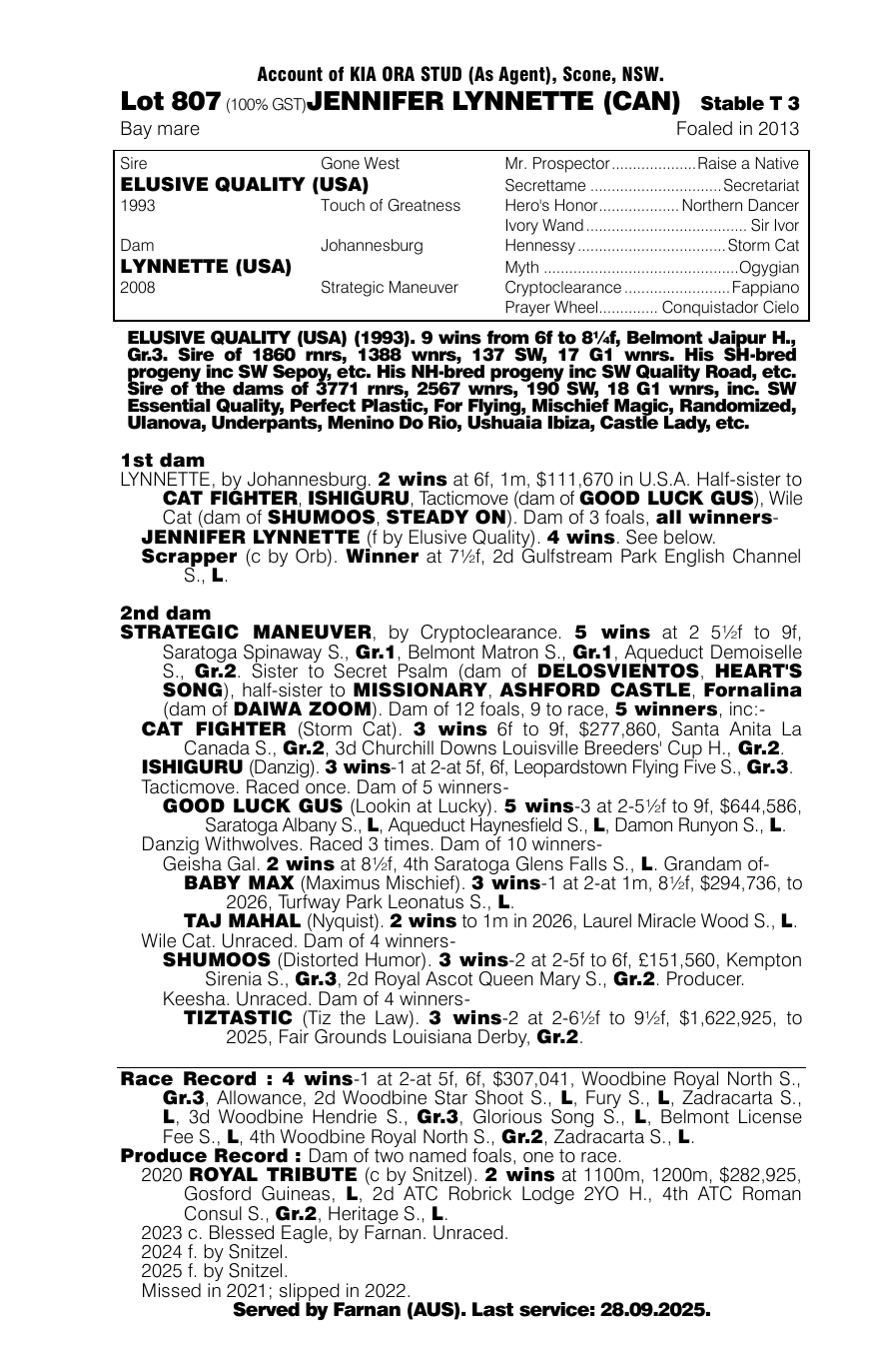 Pedigree - Lot 807