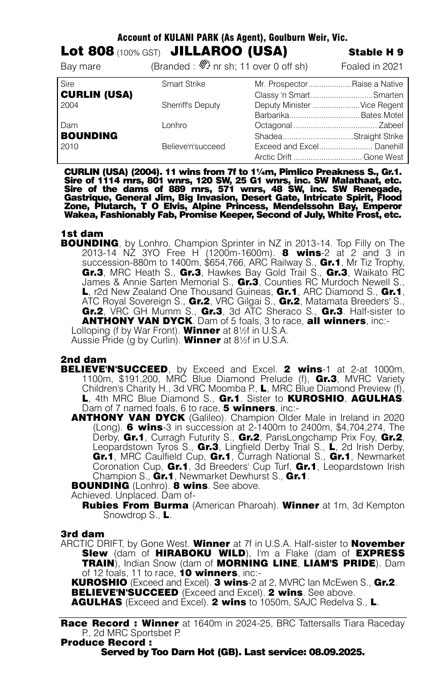 Pedigree - Lot 808