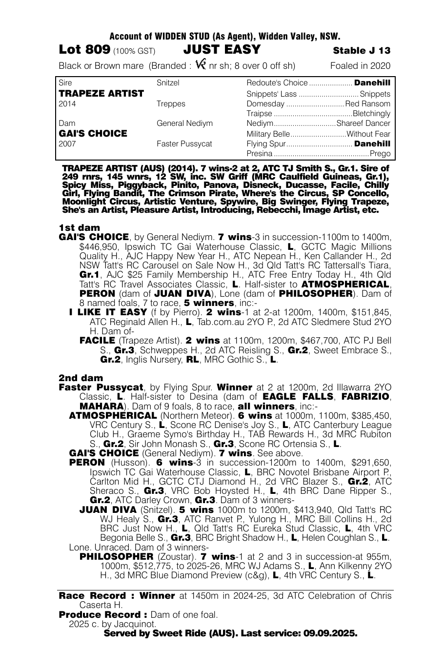 Pedigree - Lot 809