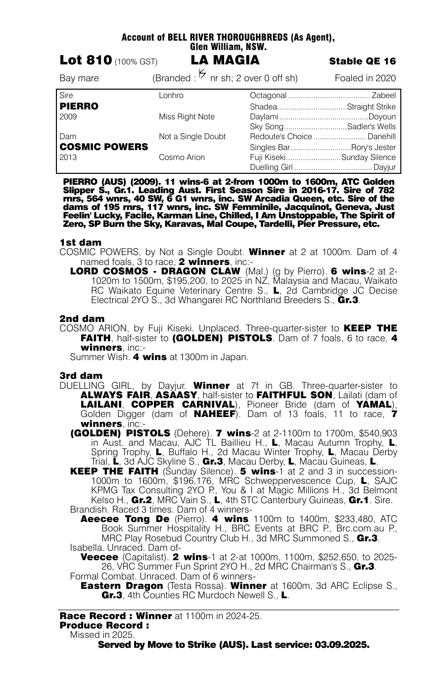 Pedigree - Lot 810