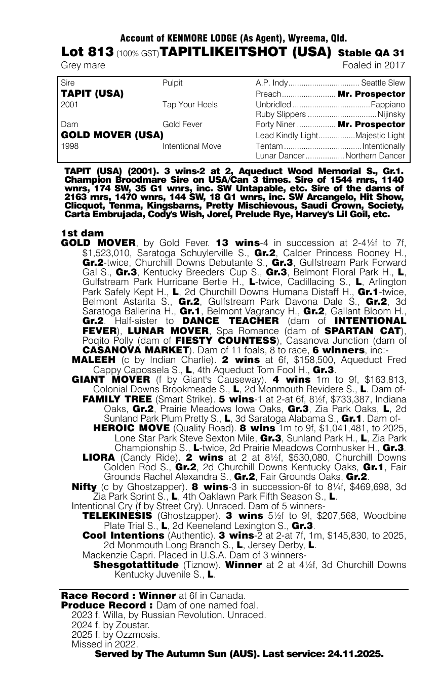 Pedigree - Lot 813