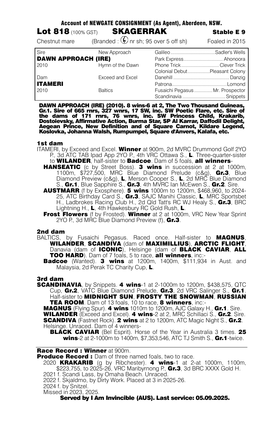 Pedigree - Lot 818