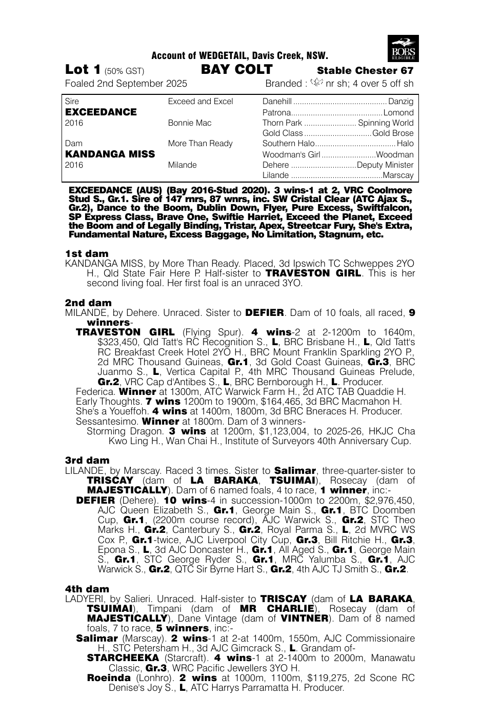 Pedigree - Lot 1