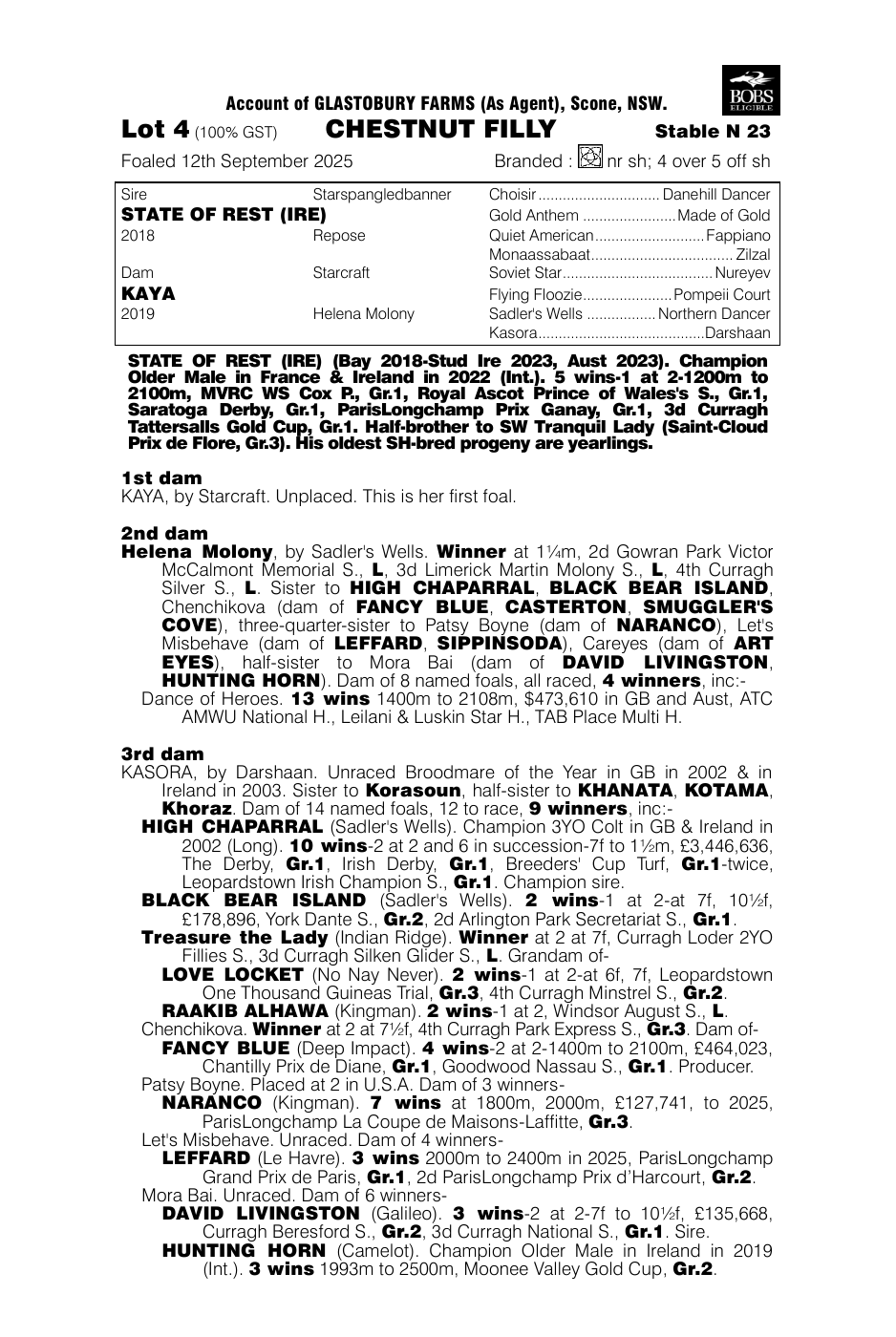 Pedigree - Lot 4