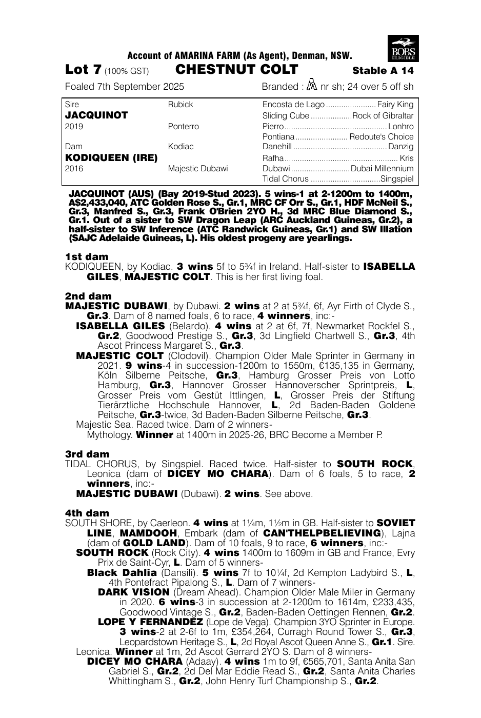 Pedigree - Lot 7
