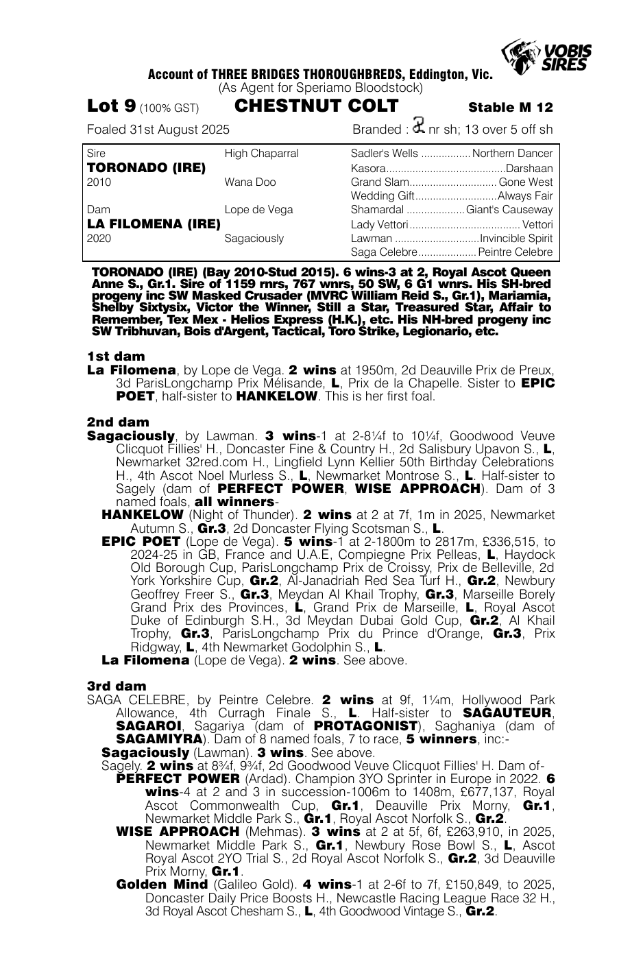 Pedigree - Lot 9