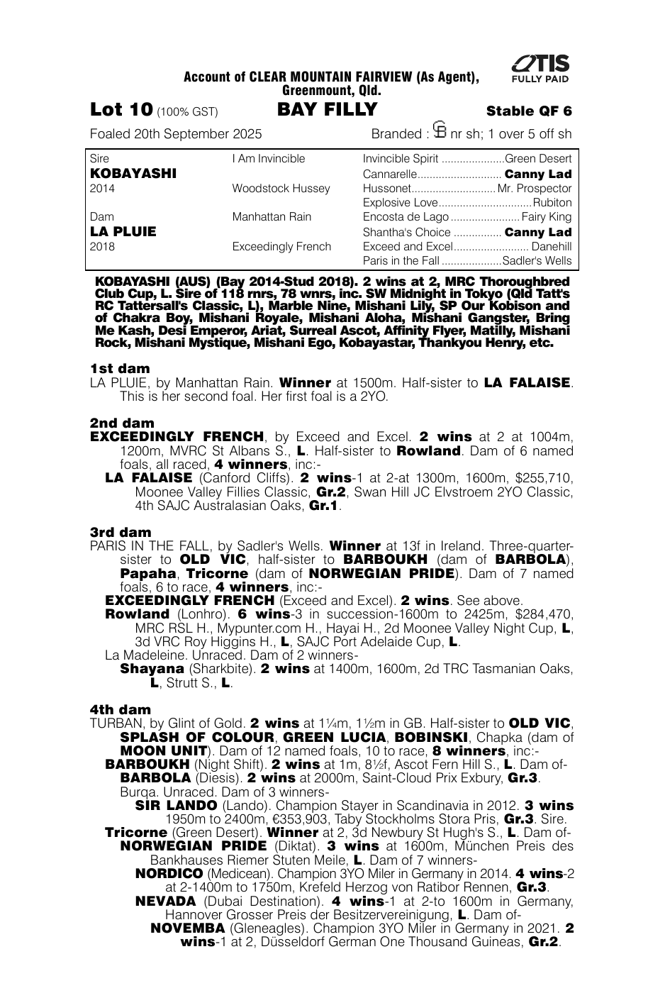 Pedigree - Lot 10