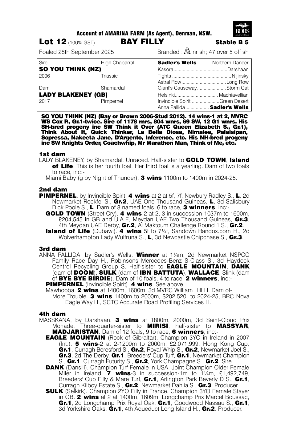Pedigree - Lot 12