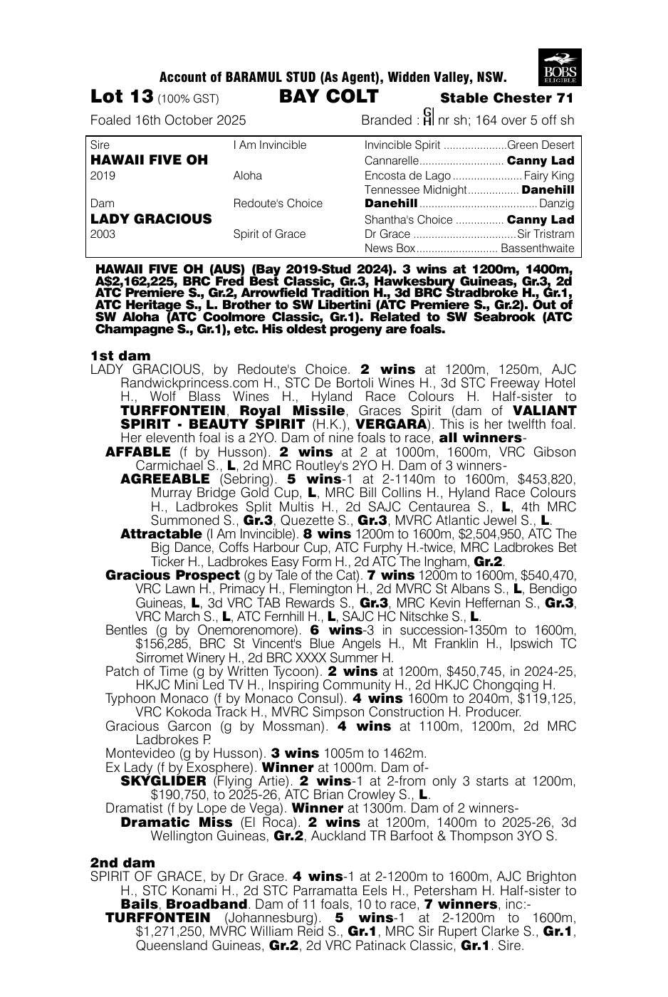Pedigree - Lot 13