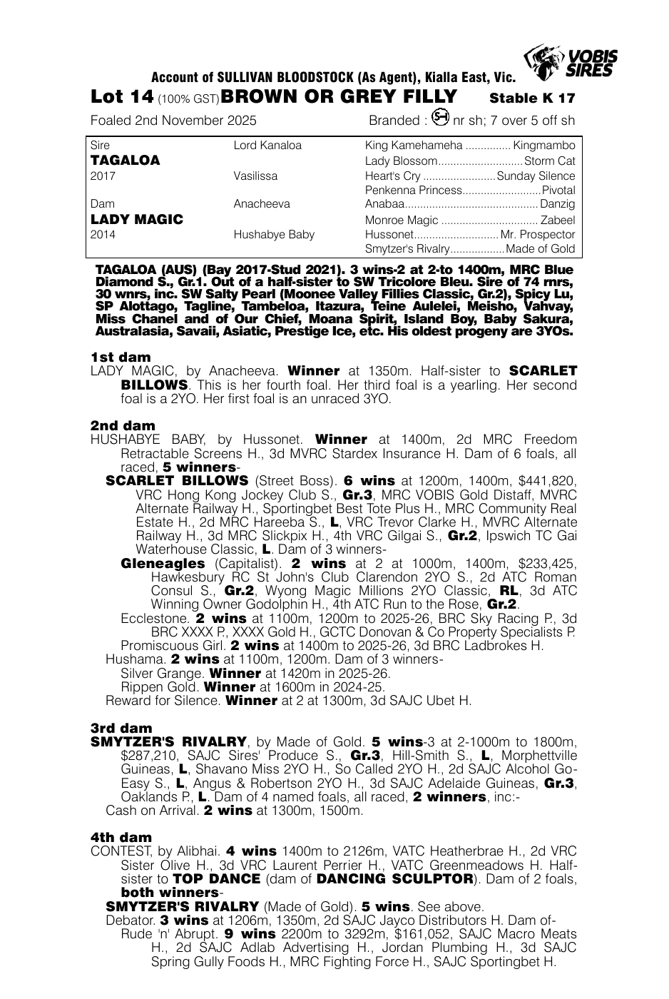 Pedigree - Lot 14