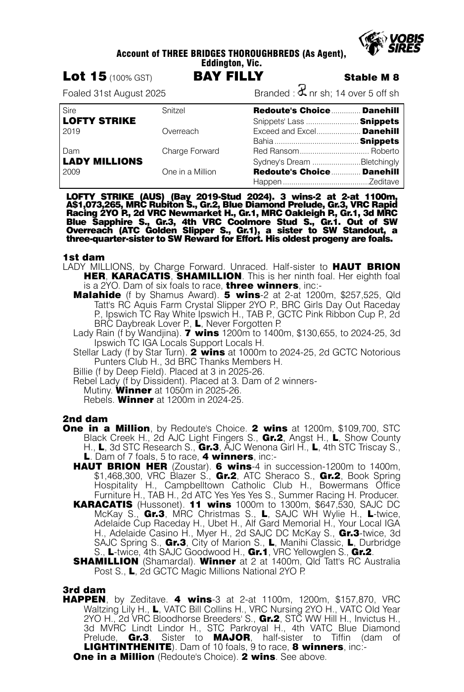 Pedigree - Lot 15