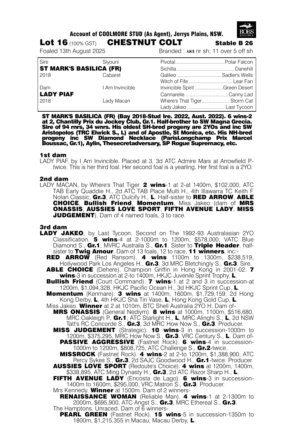 Pedigree - Lot 16