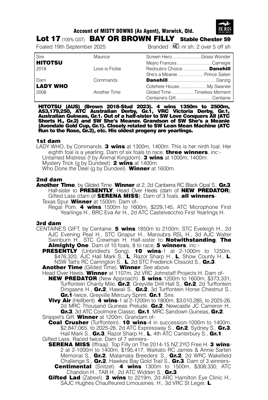 Pedigree - Lot 17